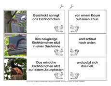 Eichhörnchen-Satzteile-verbinden-einfach 6.pdf